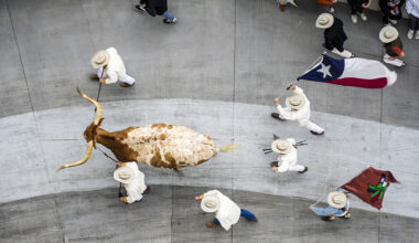 Where UT athletics stands in early 2026