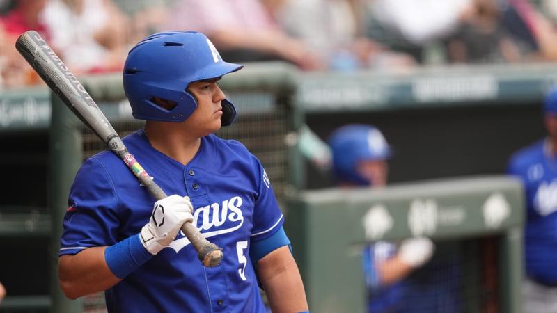 UTA Falls to No. 6 Arkansas in Game Two