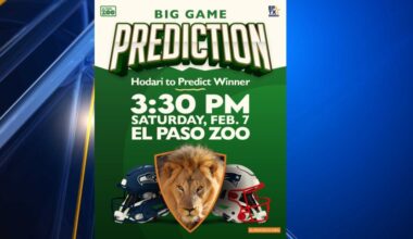 Yahoo lifestyle home