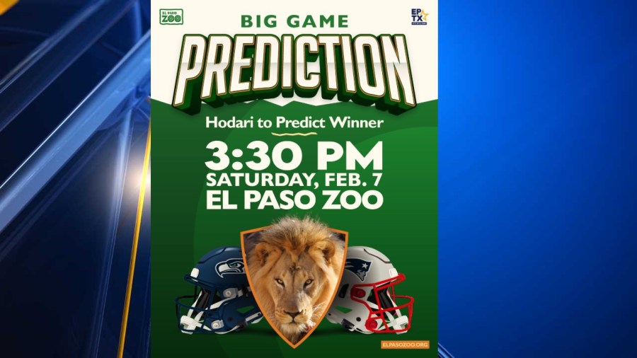 Yahoo lifestyle home