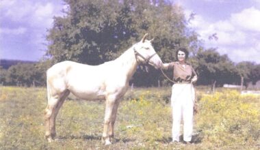 Jewish heritage in Texas cowboy culture recognized at Fort Worth Stock Show & Rodeo