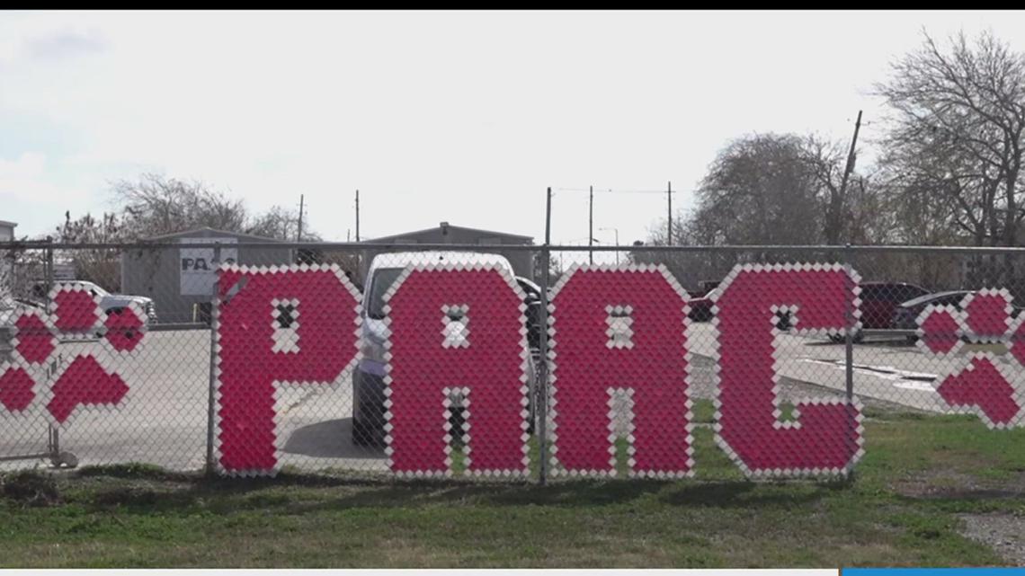 PAAC awarded $500K in state funding for spay and neuter services in Coastal Bend