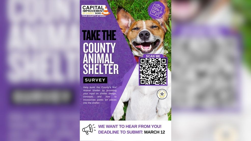 El Paso County seeks public input on first animal shelter designs at second meeting