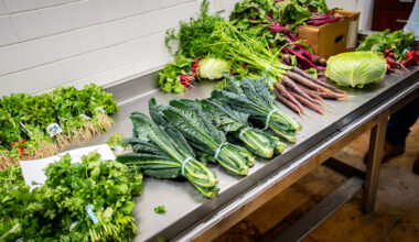 Texas cool-season vegetable growers navigate weather, market challenges