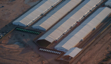 Two tuberculosis cases detected at Camp East Montana ICE facility