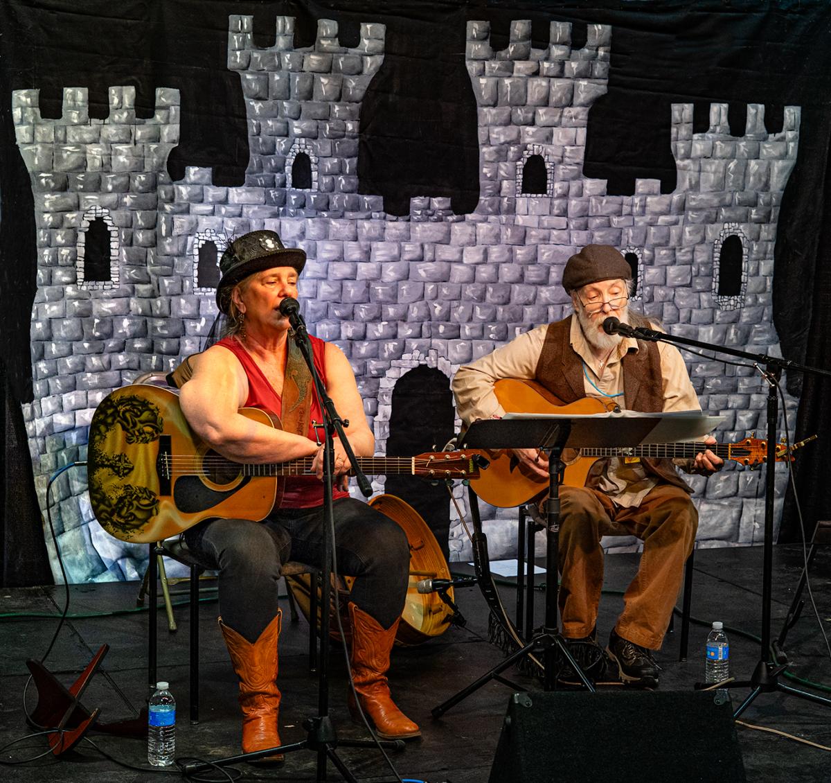 Irish Fest musicians