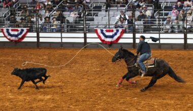 Weekend Worthy: Tip your cowboy hat to conclude this year’s Fort Worth Stock Show & Rodeo