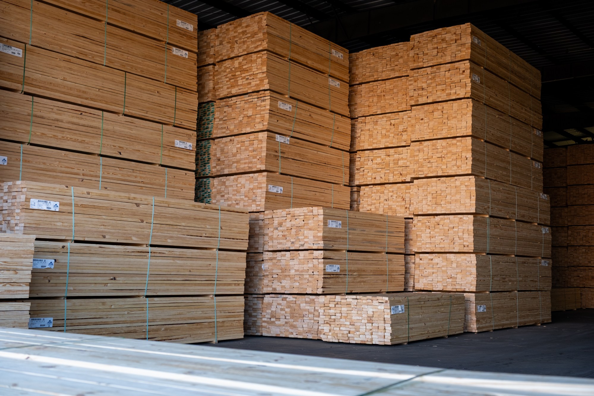 Georgia Pacific Wood Products, on Thursday January 29, 2026, in Pineland.