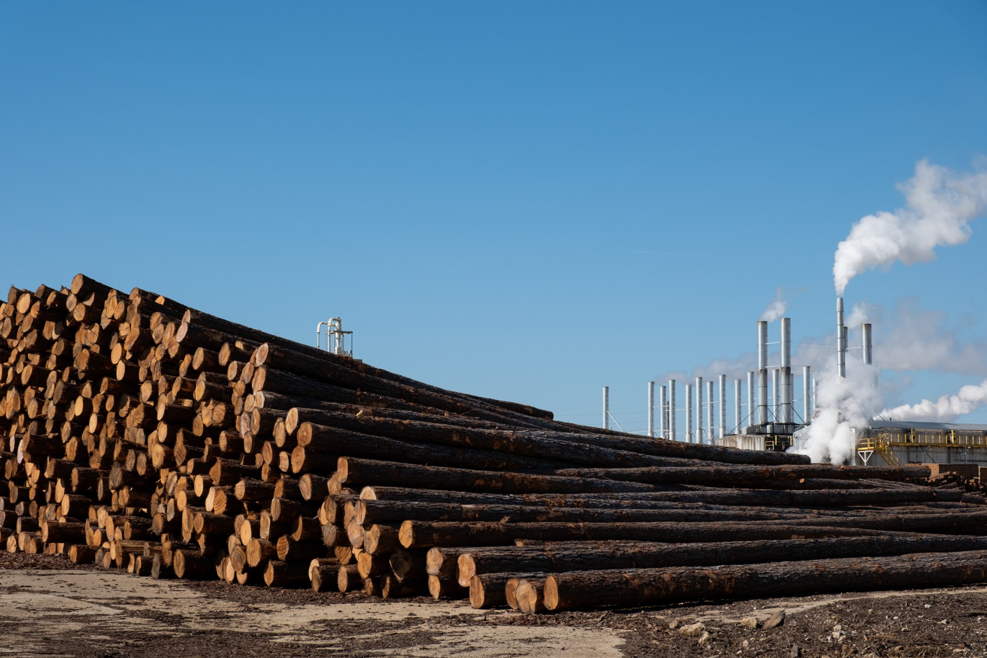 Georgia Pacific Wood Products, on Thursday January 29, 2026, in Pineland.