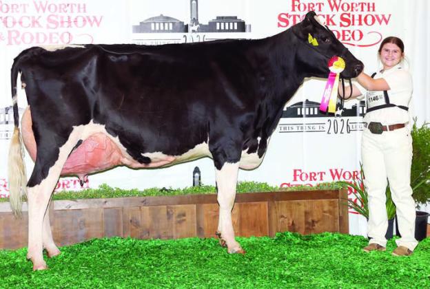 Zapalac shows reserve champions at Fort Worth.