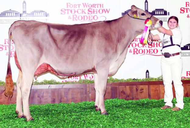 Zapalac shows reserve champions at Fort Worth.