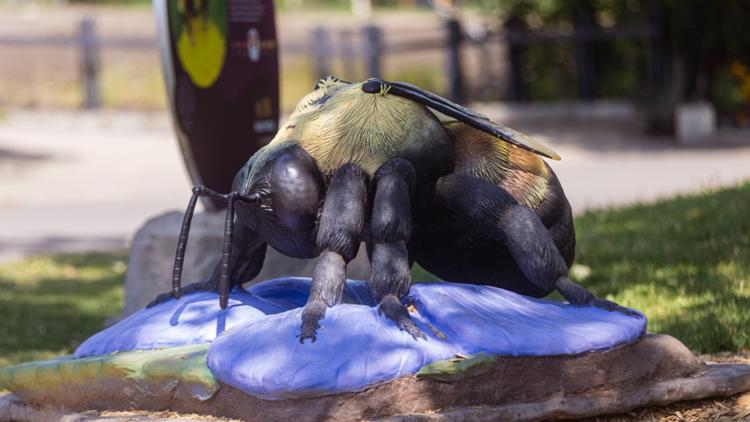 Yahoo lifestyle home