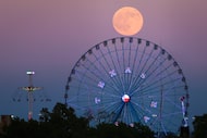 The Harvest full moon rises over the Texas Star Ferris wheel during the Sate Fair of Texas,...