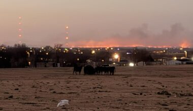 Recovery efforts underway for ranchers in the Texas, Oklahoma Panhandle