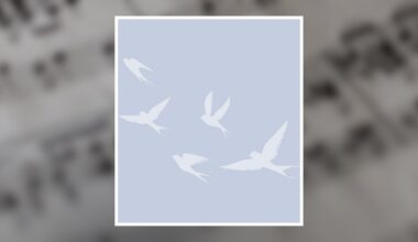 Sharon Cook Obituary February 21, 2026