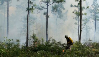 Wildfire threat reaches North Texas Thursday before temperature drop