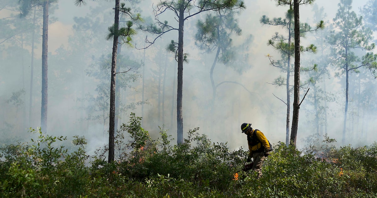 Wildfire threat reaches North Texas Thursday before temperature drop