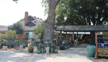 Shades of Green is moving all operations to Celina after more than 30 years of business in Frisco. (Community Impact staff)