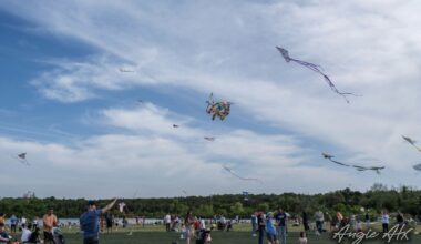 Angie ATX Realtor and the Cedar Park  & Recreation will collaborate to host the annual Cedar Park Kite Festival on March 28. (Courtesy Angie Gonzalez)