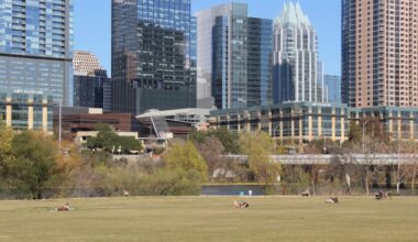 Auditorium Shores