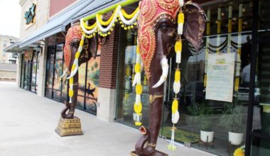 Exterior of a strip center with two elephant statues flanking an exterior door.