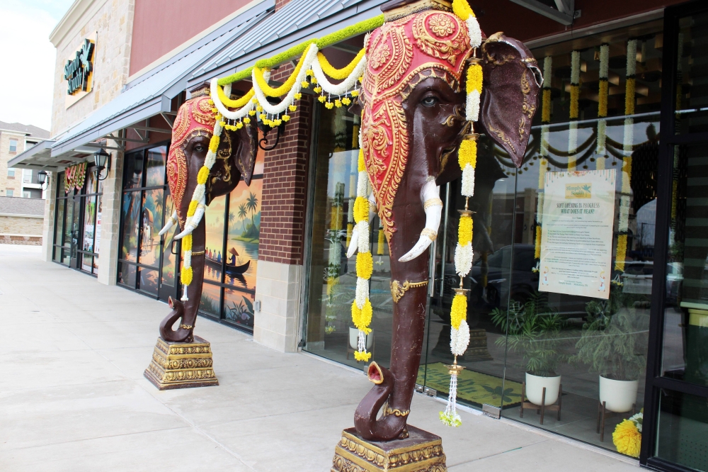 Exterior of a strip center with two elephant statues flanking an exterior door.