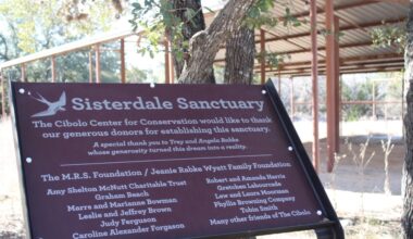 Sisterdale Sanctuary was acquired by The Cibolo in December 2023 through a partnership with local landowners. (Andrew Creelman/Community Impact)