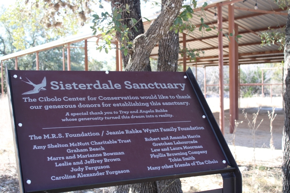 Sisterdale Sanctuary was acquired by The Cibolo in December 2023 through a partnership with local landowners. (Andrew Creelman/Community Impact)