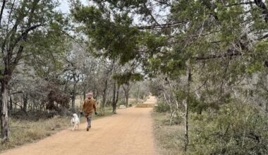A man walks his dog in Phil Hardberger Park