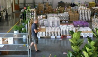 Flora & More opened in the Heights earlier this month. The orchid supplier is a membership-only warehouse. (Courtesy Flora & More)