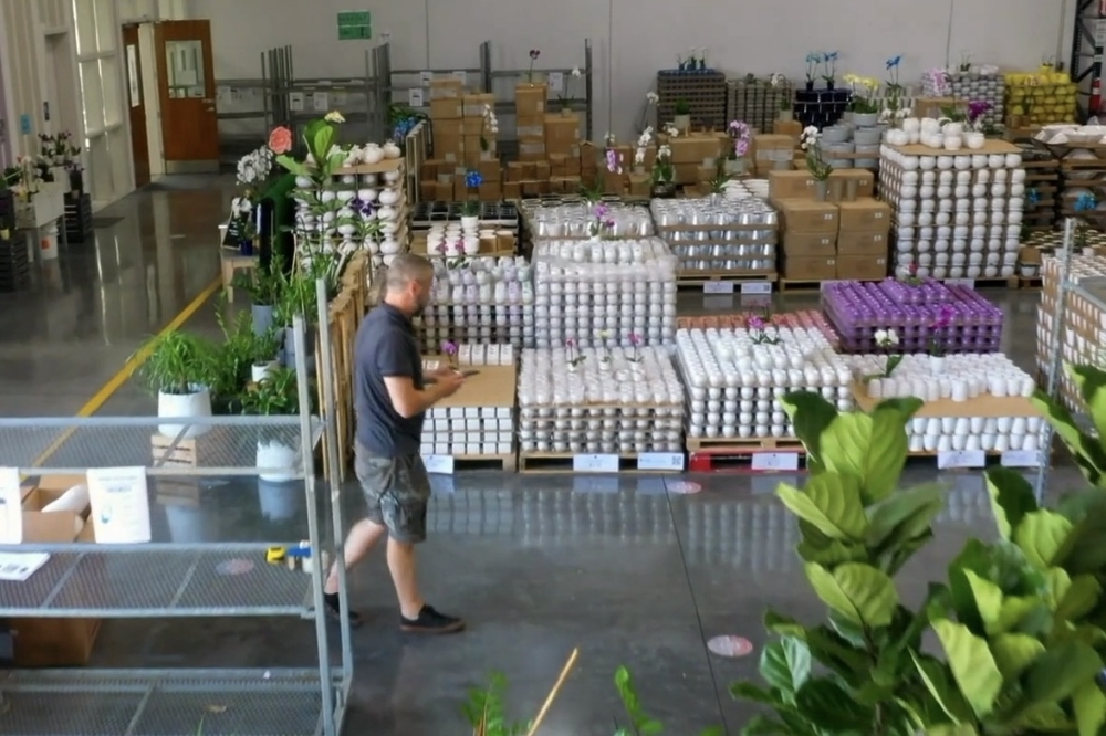 Flora & More opened in the Heights earlier this month. The orchid supplier is a membership-only warehouse. (Courtesy Flora & More)
