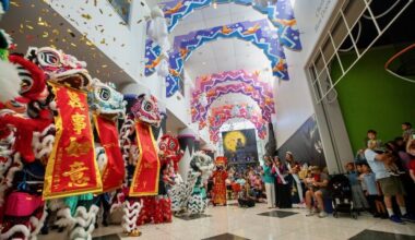 Lion Dancers performing