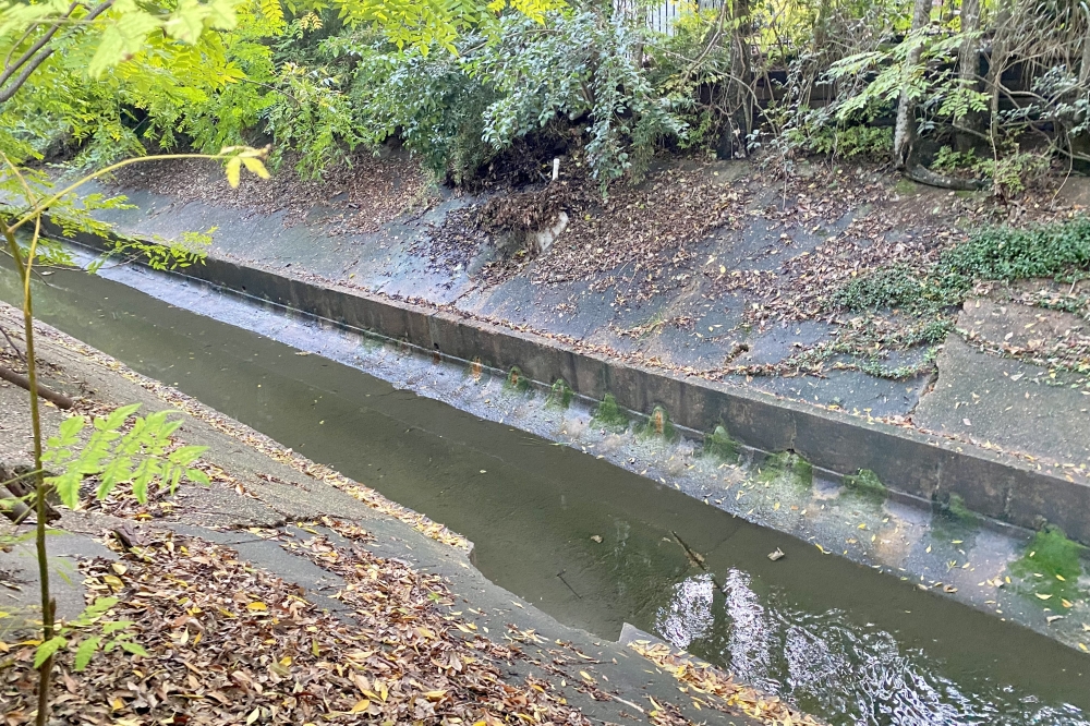 Poor Farm Ditch project is continuing forward. Officials say reconstruction will be done in 500-foot segments to minimize inconvenience to residents. (Cassandra Jenkins/Community Impact)