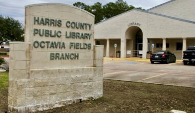 Visit Octavia Fields Branch Library in Humble from 1-2 p.m. Feb. 14 to chat with book enthusiasts about some of their favorite novels. (Emily Lincke/Community Impact)