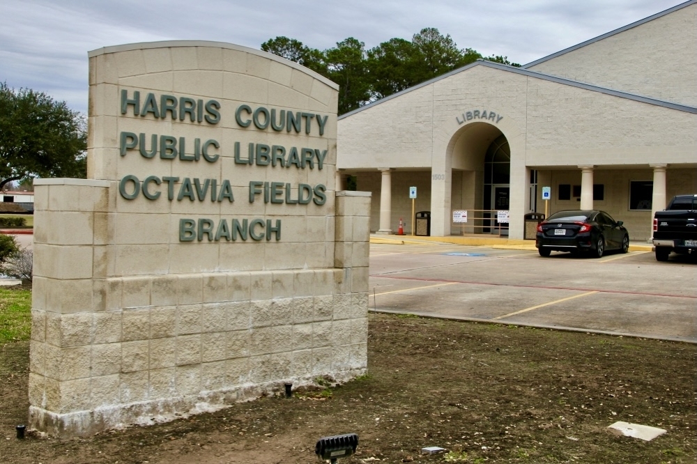 Visit Octavia Fields Branch Library in Humble from 1-2 p.m. Feb. 14 to chat with book enthusiasts about some of their favorite novels. (Emily Lincke/Community Impact)