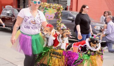 People in costume parade dogs in costume at the Mardi Gras dog show in McKinney.