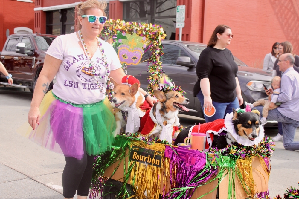 People in costume parade dogs in costume at the Mardi Gras dog show in McKinney.