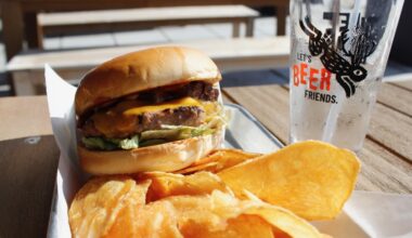 a burger and side of chips