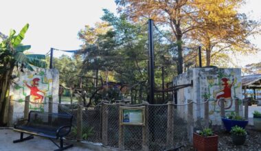 The new tamarin enclosure at the zoo houses five tamarins. (Courtesy San Antonio Zoo)