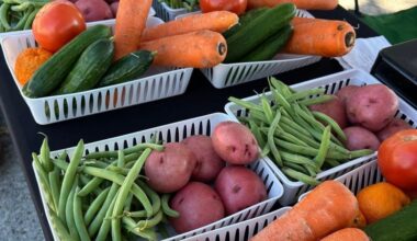 Shop for farm-fresh produce, local honey, baked goods, handmade crafts and more at the Lake Houston Farmers Market on the second and fourth Saturday of the month. (Courtesy Lake Houston Farmers Market)