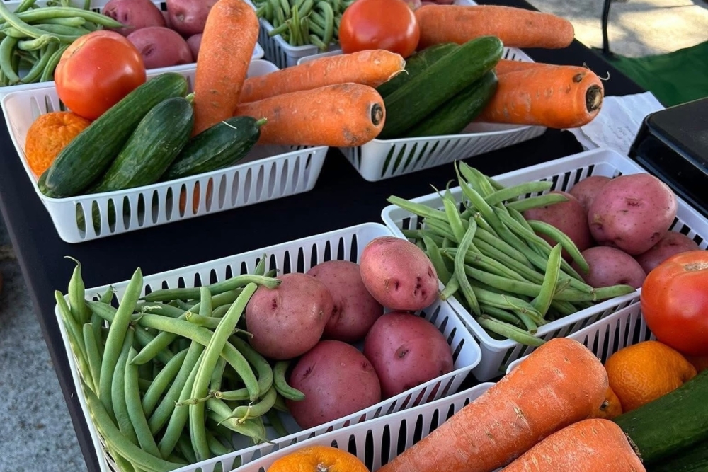 Shop for farm-fresh produce, local honey, baked goods, handmade crafts and more at the Lake Houston Farmers Market on the second and fourth Saturday of the month. (Courtesy Lake Houston Farmers Market)