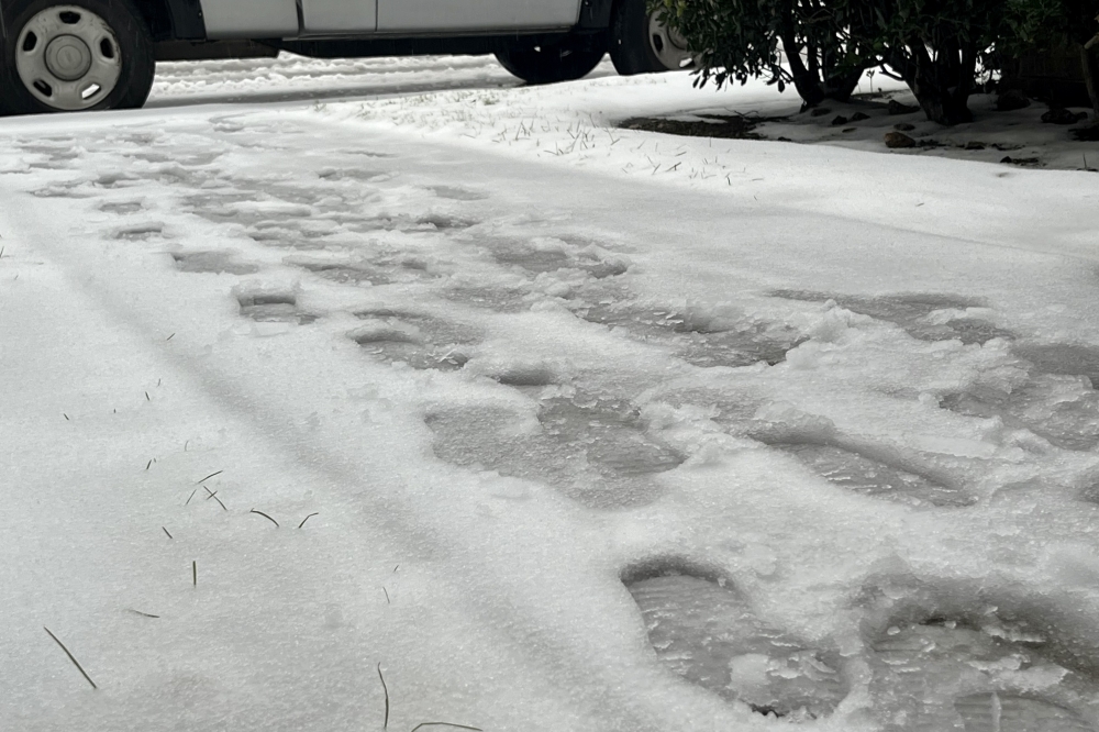 Richardson ISD will not use any weather days to make up for missed school during Winter Storm Fern. (Community Impact staff)