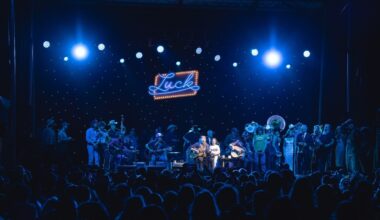 artist willie nelson performing on stage