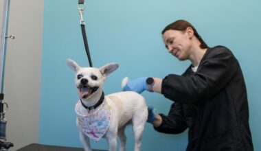 There are several Petbar locations across Texas, including spots in Cedar Park, Austin and San Antonio. (Dacia Garcia/Community Impact)