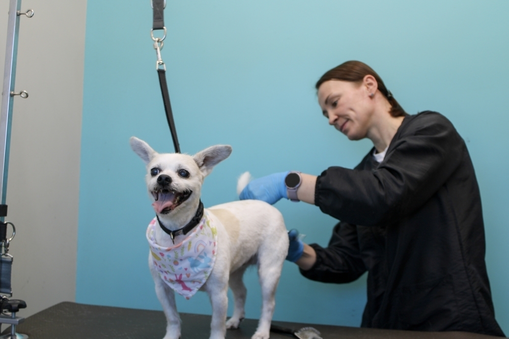 There are several Petbar locations across Texas, including spots in Cedar Park, Austin and San Antonio. (Dacia Garcia/Community Impact)