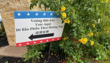 'Voting this way" sign in a flowering bush