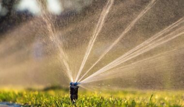 The Southwestern Travis County Groundwater Conservation District is requesting voluntary curtailment from exempt users. (Courtesy Adobe Stock)