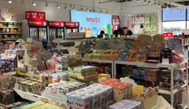 Products with asian writing displayed on shelves in a store.
