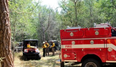 A prescribed burn led by Travis County fire crews earlier this year helped lessen wildfire danger in eastern Travis County. (Haley McLeod/Community Impact)