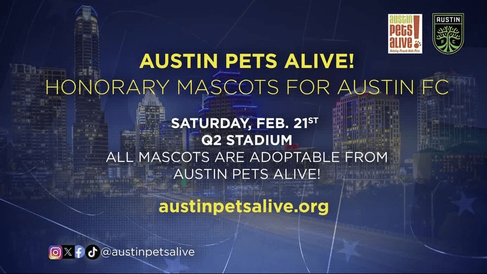 For more information about adopting Fit-Bit or other animals, visit Austin Pets Alive! online.